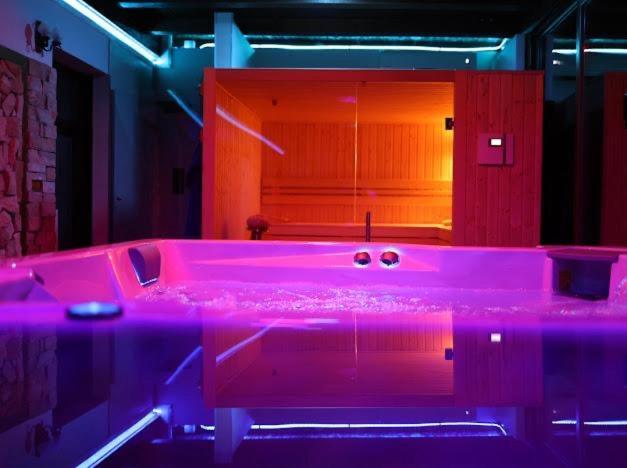 Hanu Lui Gica Spa 萨图马雷 外观 照片