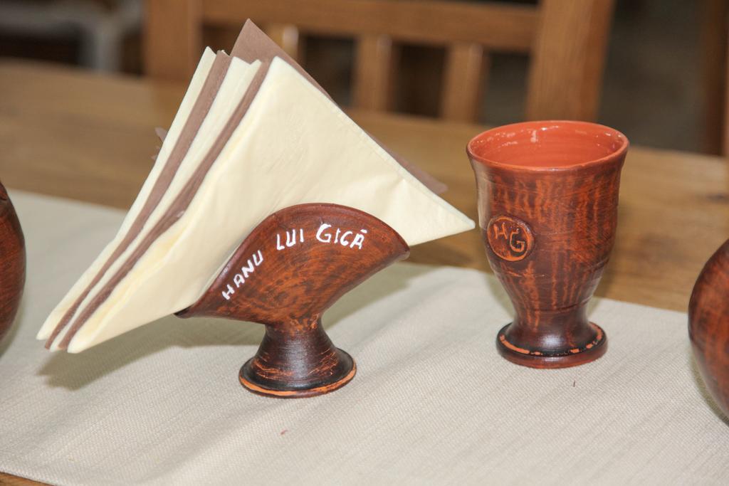 Hanu Lui Gica Spa 萨图马雷 外观 照片
